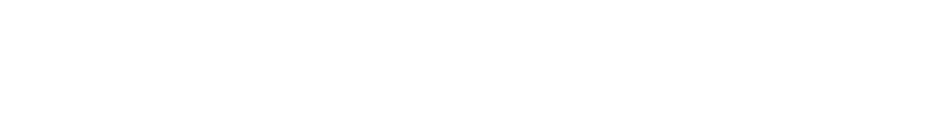 D·MORE Carbon