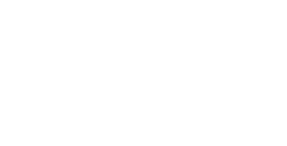D·MORE Carbon